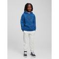 GapKids | DC Vintage Soft Graphic Hoodie