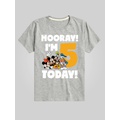Toddler Disney Hooray Im 5 Today Graphic Tee