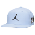 Jordan Pro Jumpman Evo Snapback Cap