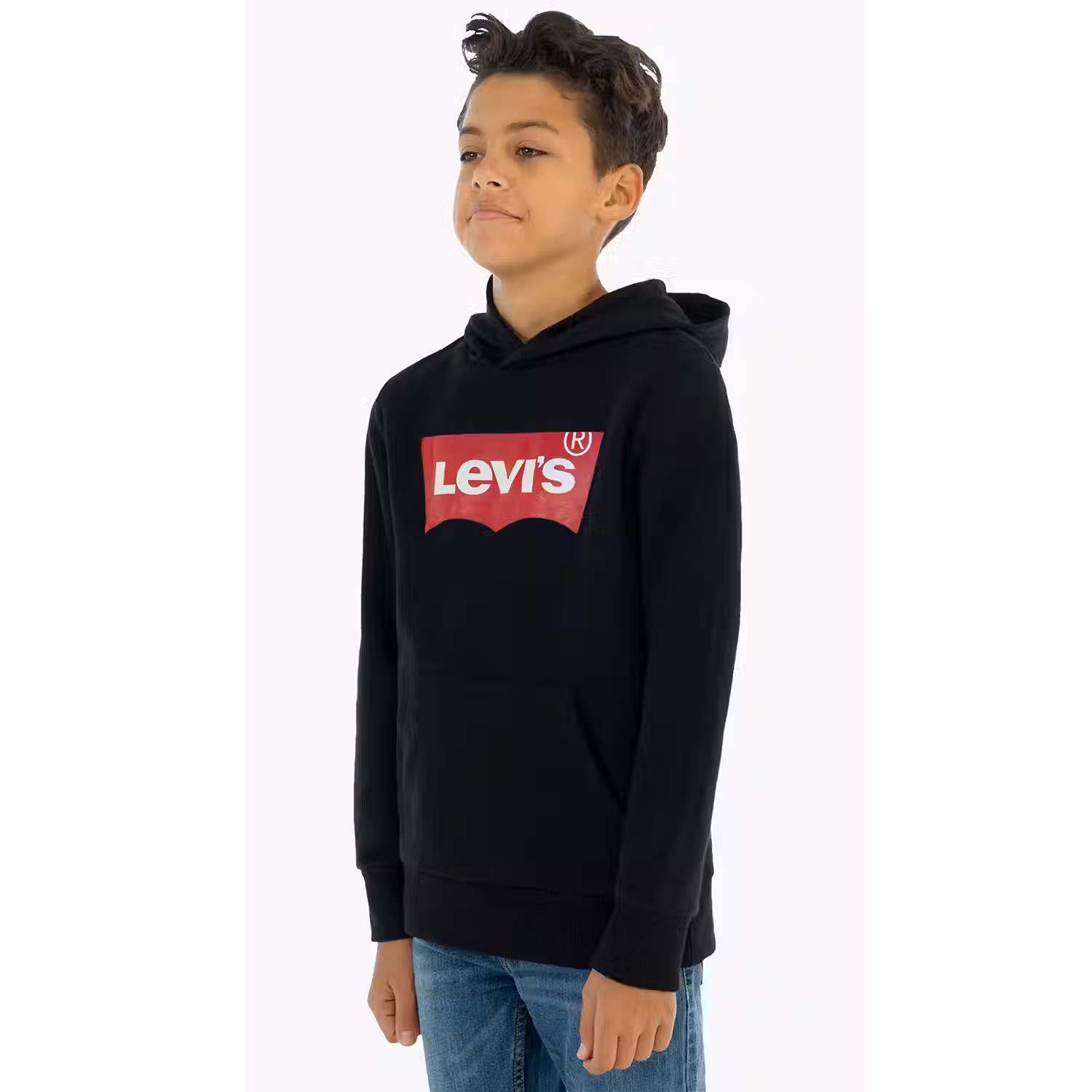 Levis Logo Hoodie Big Boys S-xl