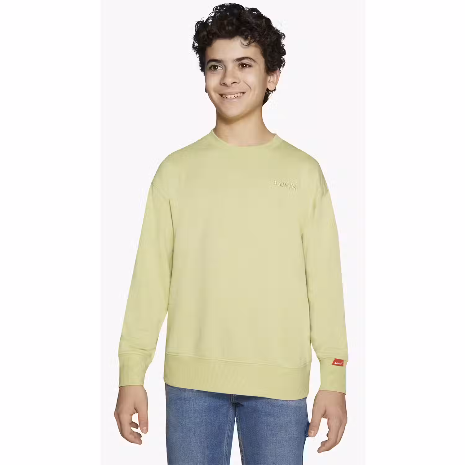 Levi's Red Tab Big Boys Crewneck Sweatshirt S-xl
