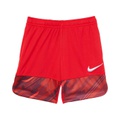 Nike Kids Dri-FIT Dominate Shorts (Little Kids)