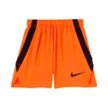 Nike Kids Dri-FIT Running Shorts (Little Kids)