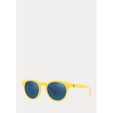Color Shop Panto Sunglasses
