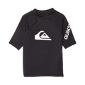Quiksilver Kids All Time Short Sleeve (Toddleru002FLittle Kids)
