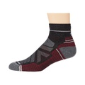 Smartwool Performance Hike Light Cushion Ankle