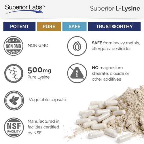  Superior Labs  Best L-Lysine NonGMO - Dietary Supplement 500 mg Pure Active L-Lysine  120 Vegetable Capsules  Supports Calcium Absorption  Immune System & Respiratory Health S