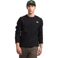 Alpine Polartec 100 Crew - Mens