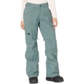 The North Face Freedom Insulated Pants