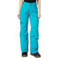The North Face Freedom Insulated Pants