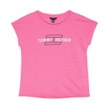 Tommy Hilfiger Kids THS Flag Mesh Tee (Big Kids)