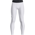 Under Armour Kids HeatGear Armour Leggings (Big Kids)