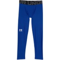 Under Armour Kids HeatGear Armour Leggings (Big Kids)