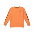 Vans Kids Exposition Hoodie (Big Kids)