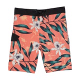 Volcom Kids Tropical Hideout Mod (Toddlleru002FLittle Kids)