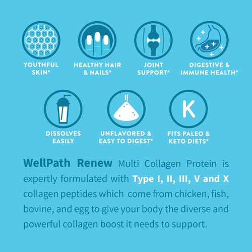  WellPath Renew Multi Collagen Protein Powder - 5 Types of Collagen - Hydrolyzed Grass-Fed Bovine, Marine, Chicken and Egg Collagen Peptides - Type I, II, III, V, and X - Keto Friendly Suppl